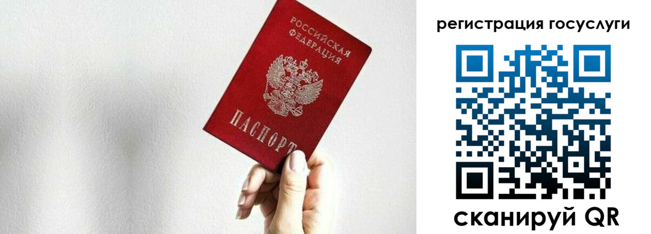 временная регистрация гарантия в Купино